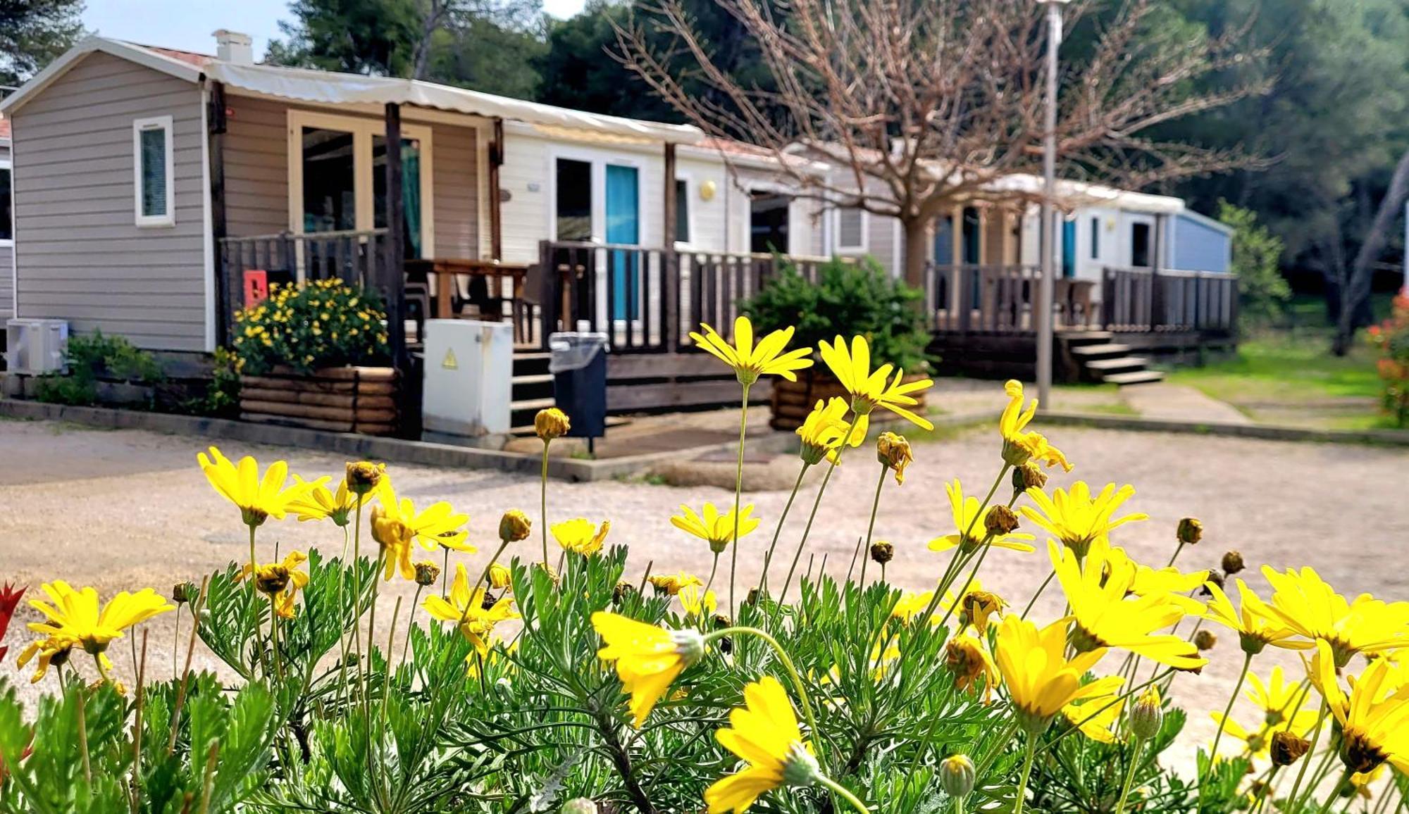Camping Aux Portes De Cassis Roquefort-la-Bedoule Ngoại thất bức ảnh