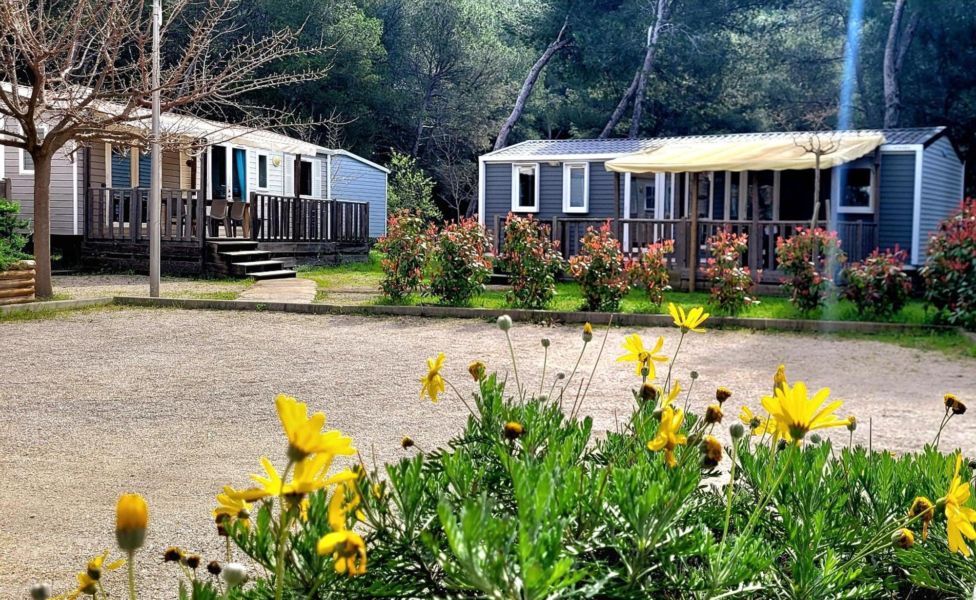 Camping Aux Portes De Cassis Roquefort-la-Bedoule Ngoại thất bức ảnh